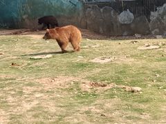 -无锡动物园·太湖欢乐园