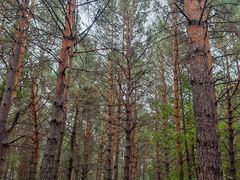 -北极村旅游风景区