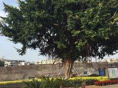 景点-石炮台公园