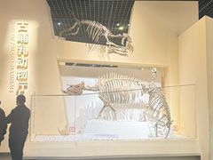 -国家自然博物馆