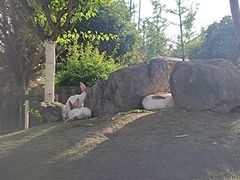 -洪湖家庭农场·团建·露营·会议