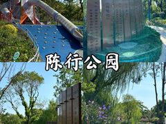 -陈行公园