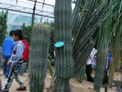 景点-祥源·阜阳生态乐园