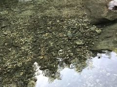 -山沟沟景区