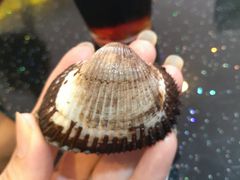 -鼎盛山海火锅(北戴河刘庄夜市老虎石浴场店)