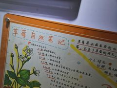 -上海昆虫博物馆