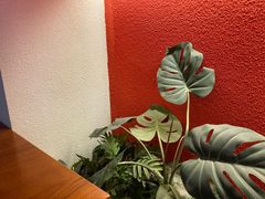 -TOKTOK精酿啤酒·咖啡(荔枝湾店)