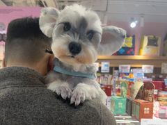 -FAELING PETS美天灵宠物(富力广场店)