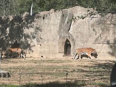 -秦皇岛野生动物园