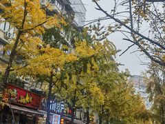 -罗妈砂锅(四川成都奎星楼店)