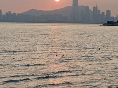 -深圳湾公园(南山区)