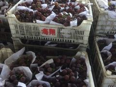 -江杨农产品批发市场
