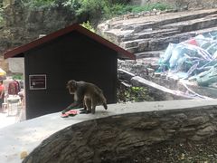 -北京上方山国家森林公园