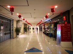 -证大喜玛拉雅中心