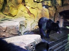 -波塞冬旅游度假区