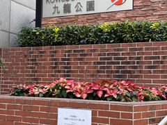 -九龙公园