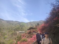 -木兰云雾山