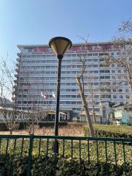 -首都医科大学附属北京儿童医院