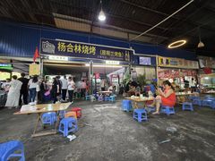 -杨合林啊兰烤鱼