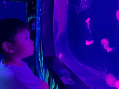 -沈阳海洋探索中心