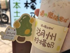 -猫的魔法密林(衣裳街店)