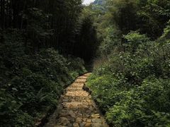 -五泄景区