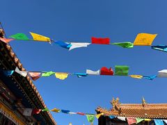 -大召寺明清一条街