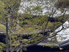 -香积寺