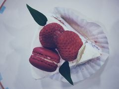 -卷心卷意·轻甜蛋糕(新光天地店)