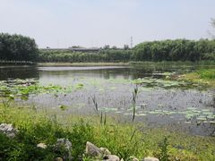 -东郊湿地公园
