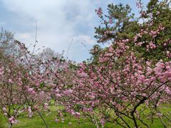 -杭州半山国家森林公园