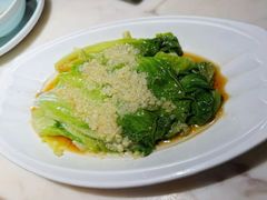 白灼生菜-韵秋荷(宝山龙湖天街店)