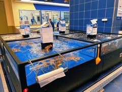 -盒马X会员店(王府井奥莱UP TOWN店)