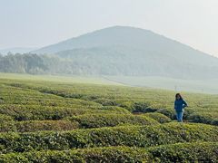 -雅达·阳羡溪山小镇中心