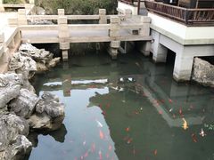 -金庸书院