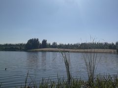 -东郊湿地公园