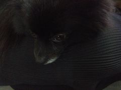 iphone_upload_pic-A+摄影