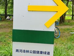 -两河城市森林公园