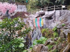 -南丹山森林王国