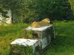 -西安秦岭野生动物园