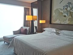 -上海嘉定喜来登酒店
