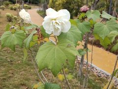 -中国移动南方基地