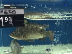 -沃尔玛(前山店)