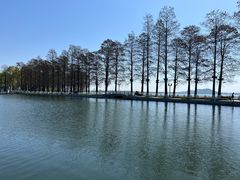 -东湖听涛景区