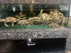 -宝燕壹号(徐汇店)