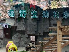 -栾川竹海野生动物园