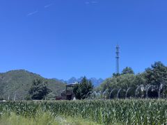 -雾灵西峰