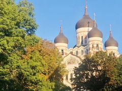 -塔林历史中心