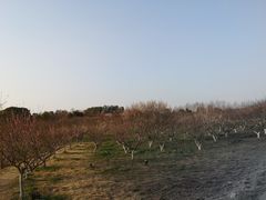 -凤凰沟景区