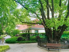 -徐家汇源景区-衡山公园